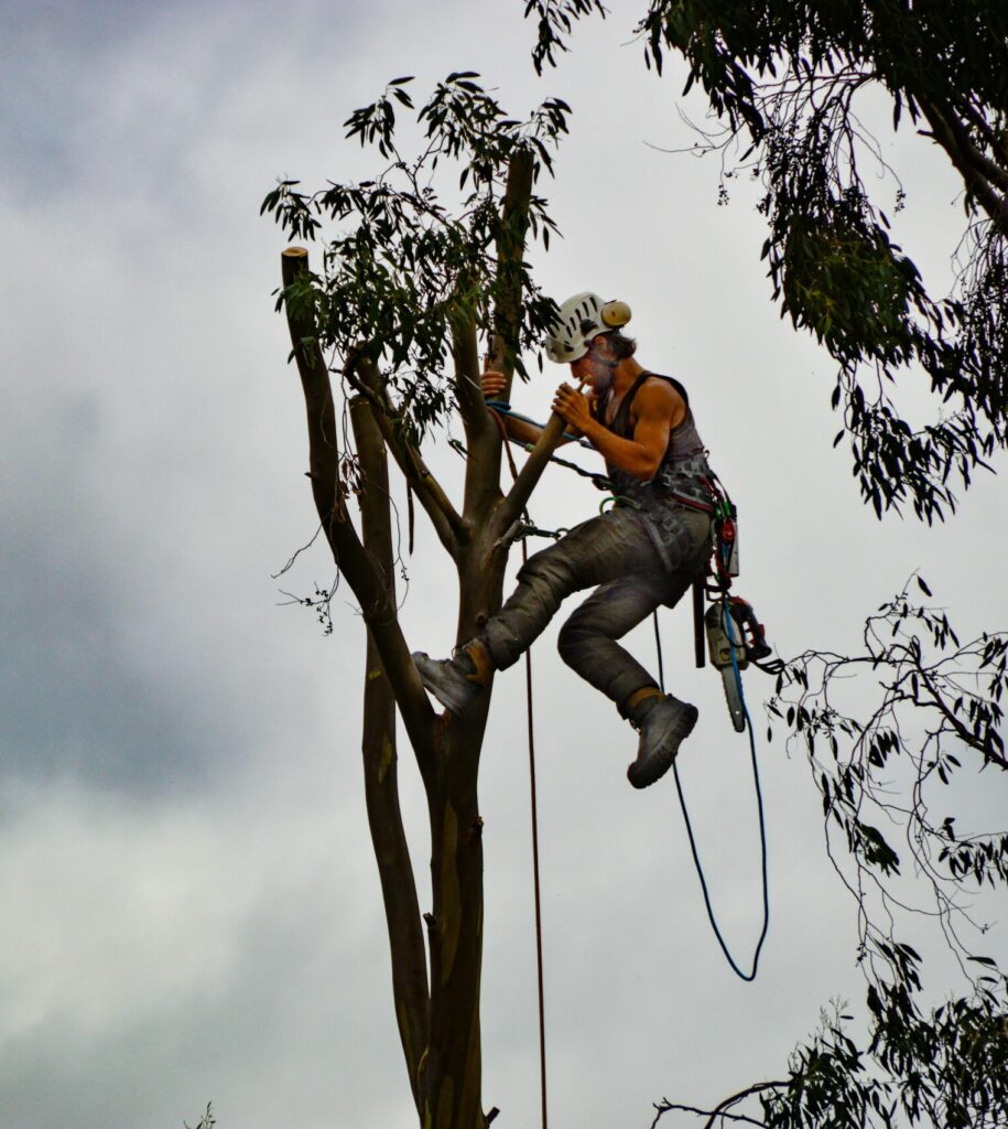 henry-perks-uaKF5IZVcGc-unsplash